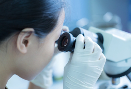 MICROSCOPIO